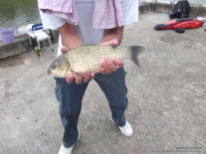 DSCF3769.JPG
