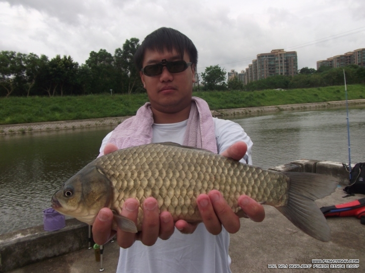DSCF3770.JPG