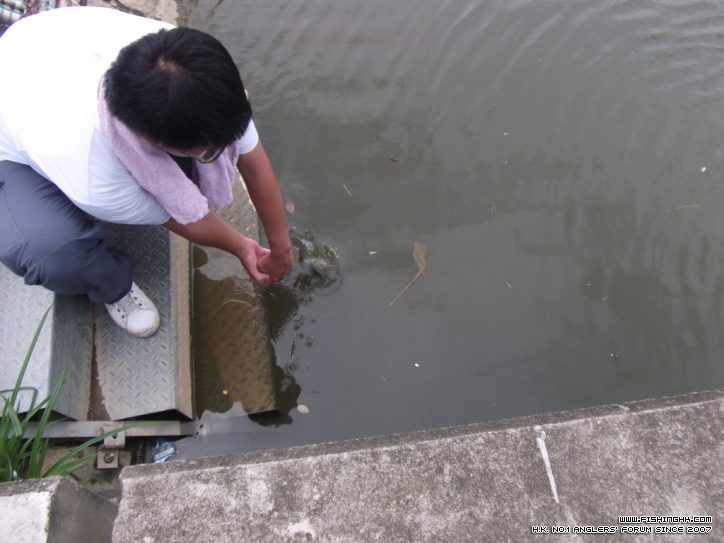 DSCF3775.JPG