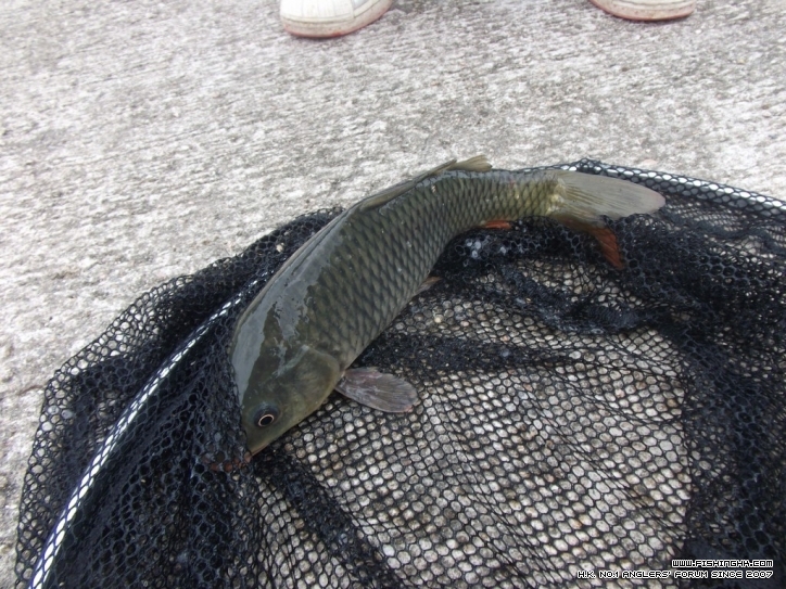DSCF3776.JPG