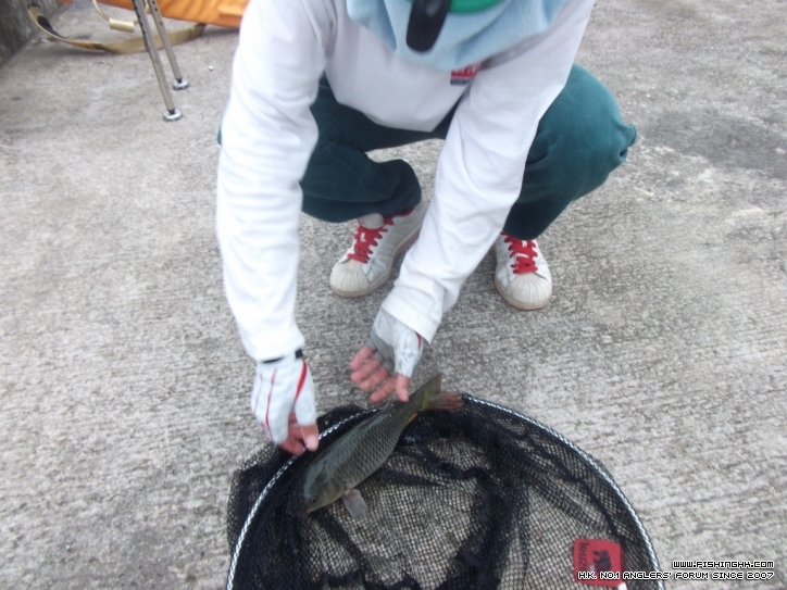 DSCF3777.JPG