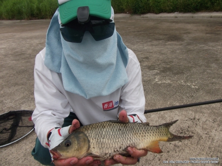 DSCF3778.JPG