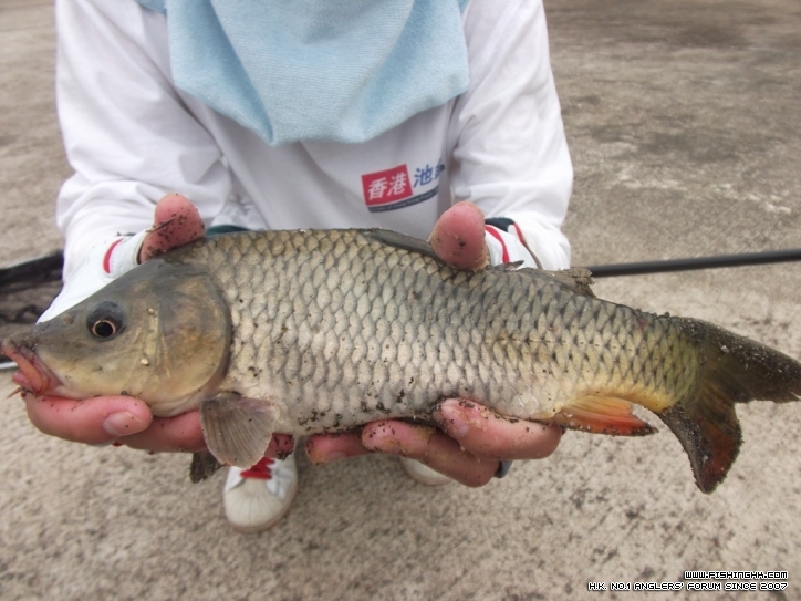 DSCF3780.JPG