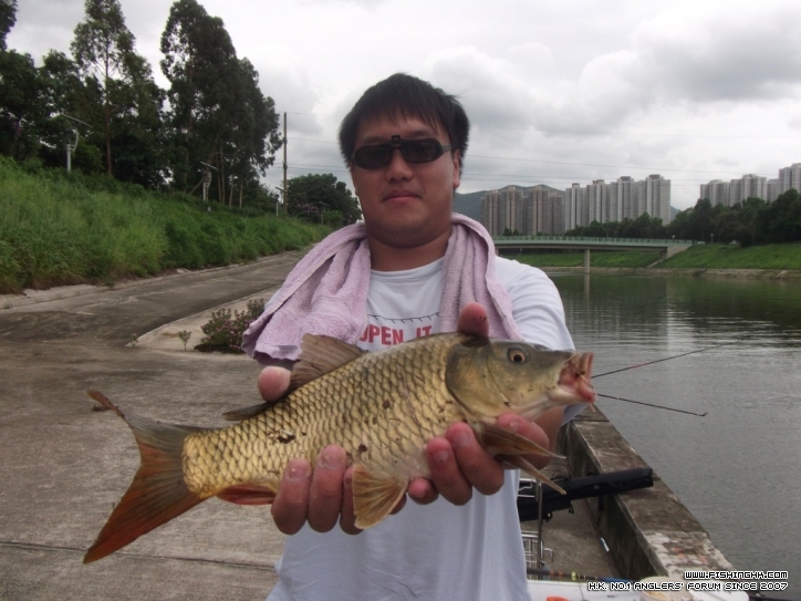 DSCF3784.JPG