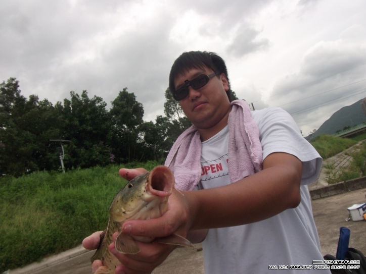 DSCF3786.JPG