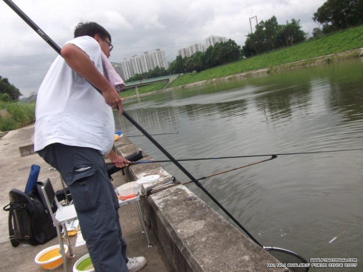 DSCF3792.JPG
