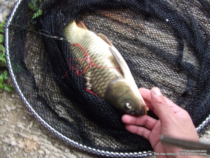 DSCF3826.JPG