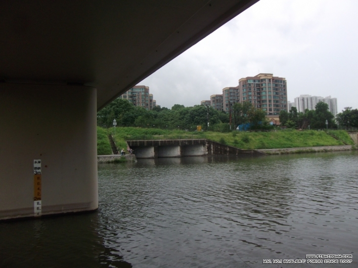DSCF3831.JPG