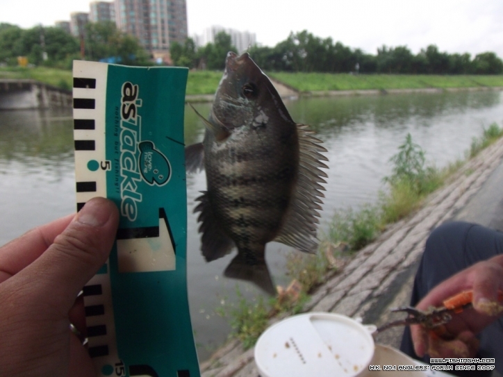 DSCF3839.JPG