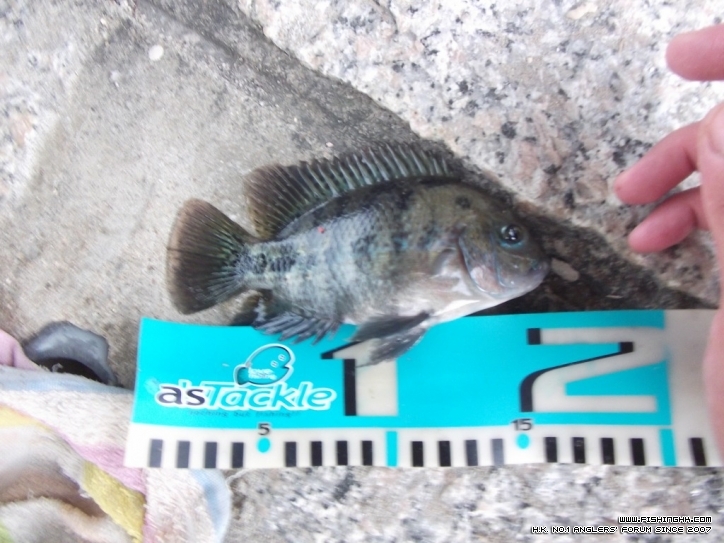 DSCF3847.JPG