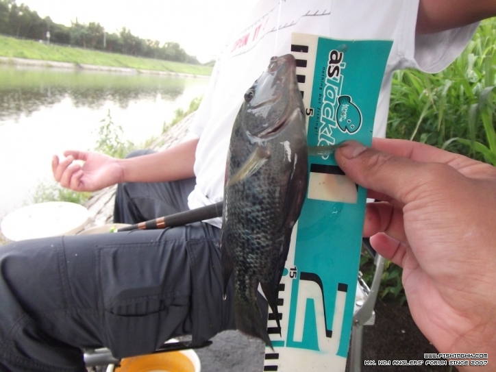DSCF3850.JPG