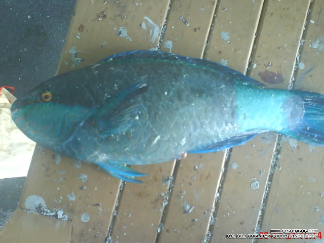 DSC00035.JPG