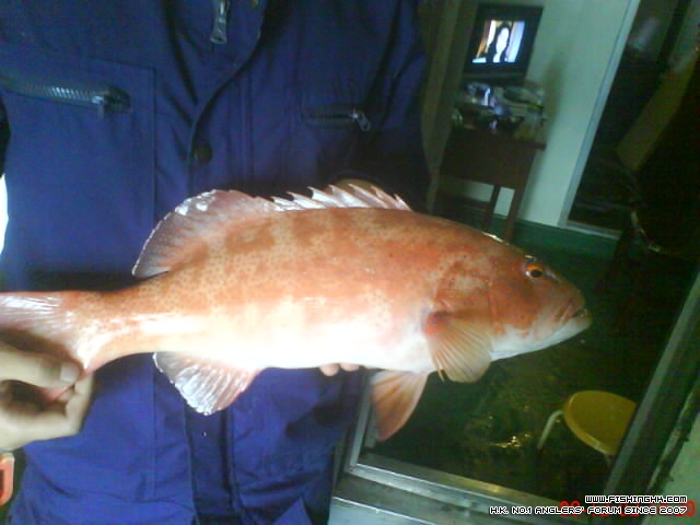 DSC00042.JPG