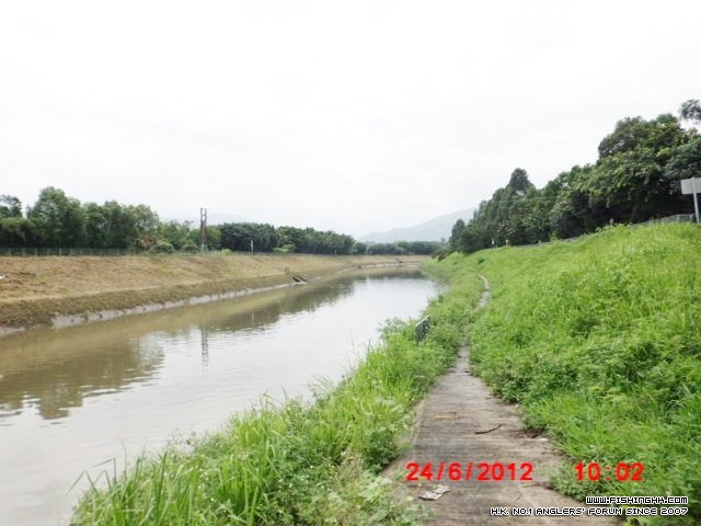 CIMG9864雙魚河中游有大鯡.JPG