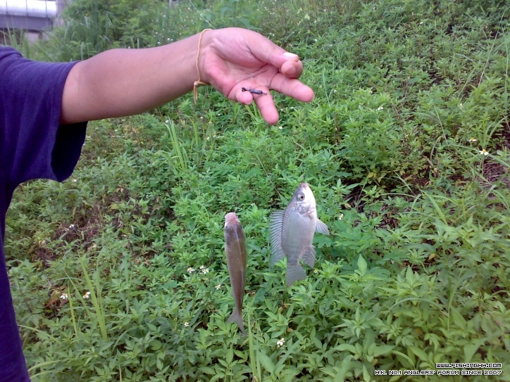 201206241028.jpg