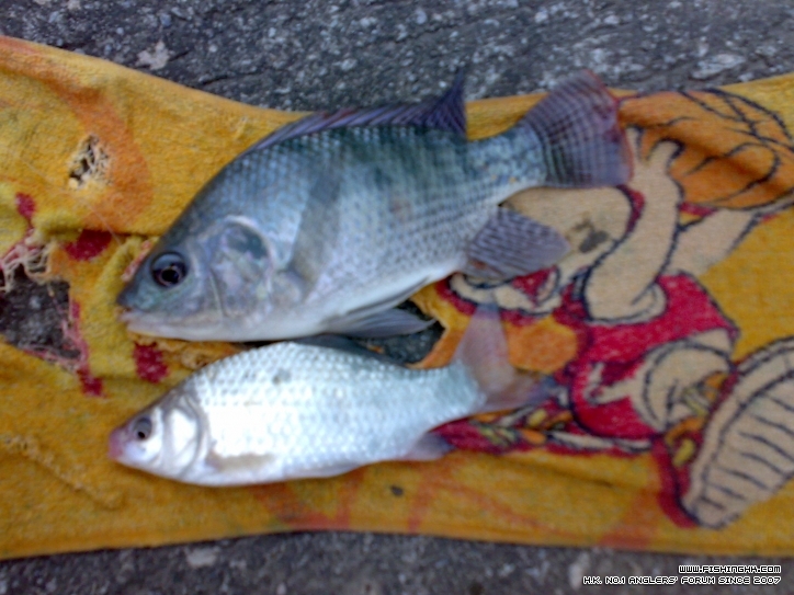 201206241030.jpg
