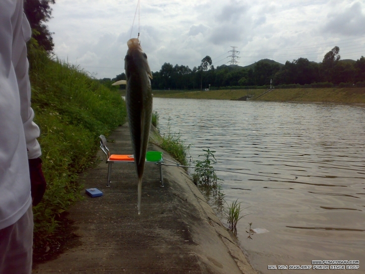 201206241031.jpg