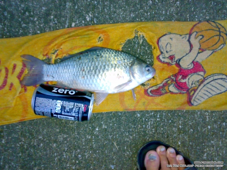 201206241034.jpg