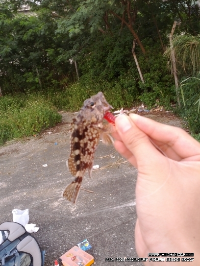 IMG_20120627_175526.jpg