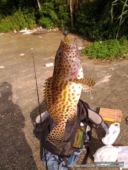 IMG_20120627_170211.jpg