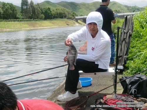 20120702_1696a7c4a0c73ec3ea48wDeJoGYQAEPt.jpg