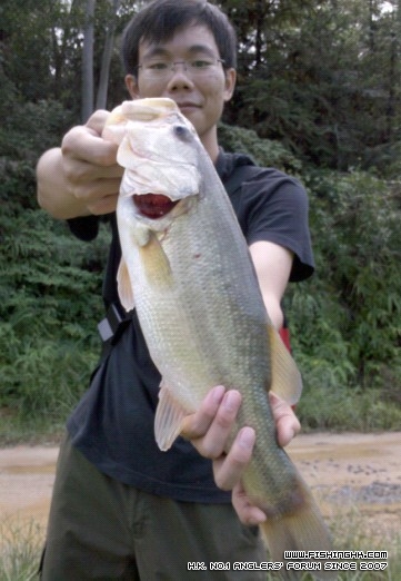 鲈1.jpg