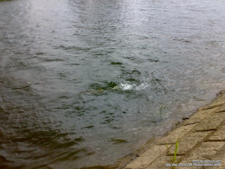 201207081067.jpg