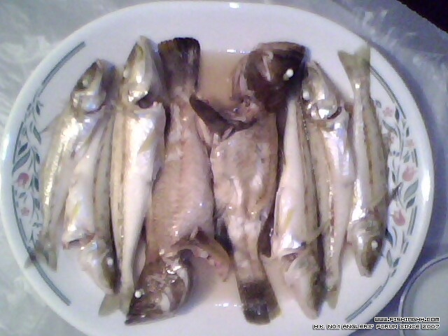 IMG0107A.jpg