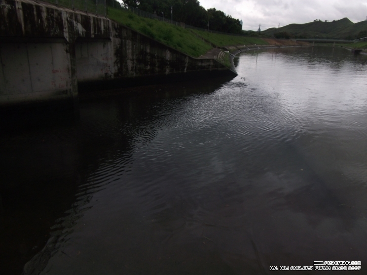 DSCF4549.JPG