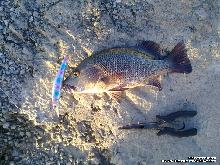 20120729268.jpg