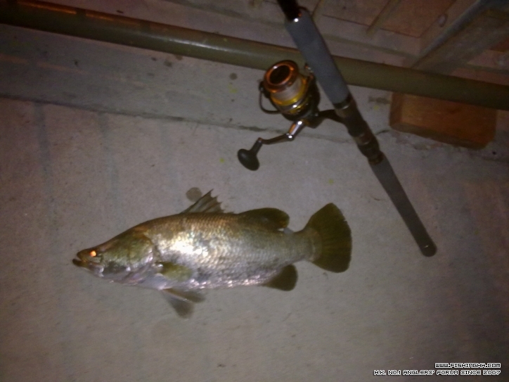 20120729270.jpg