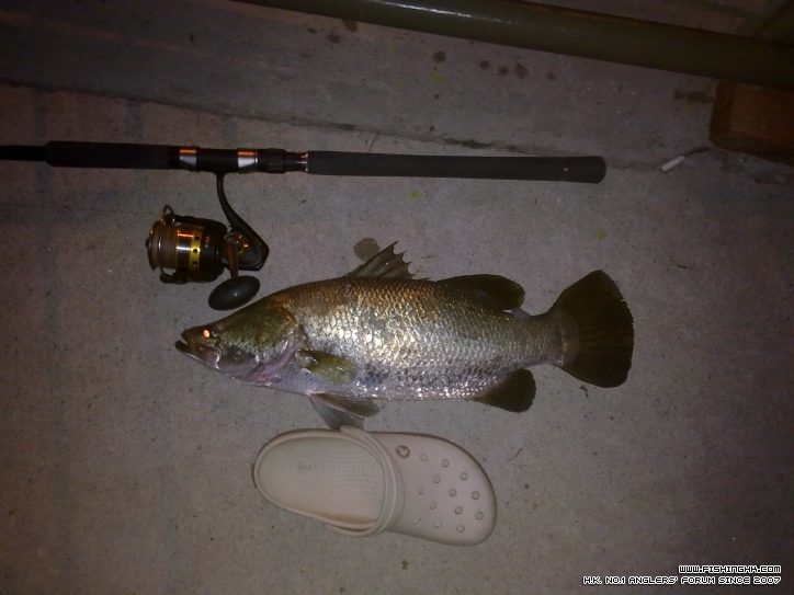 20120729271.jpg