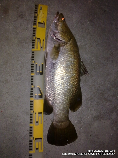 20120729272.jpg