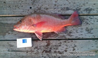 2012092702.jpg