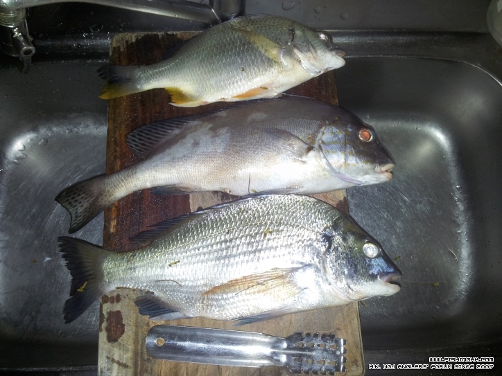 20120804_014915.jpg