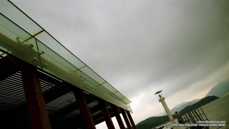 P1130493.JPG