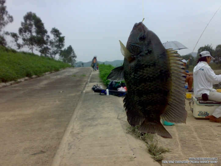 201208051138.jpg