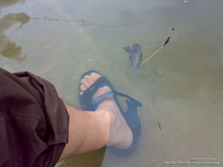 201208051142.jpg