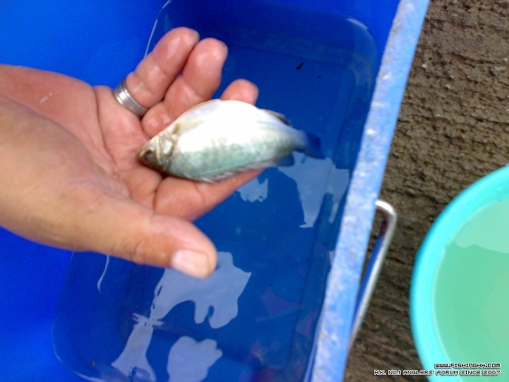 201208051154.jpg
