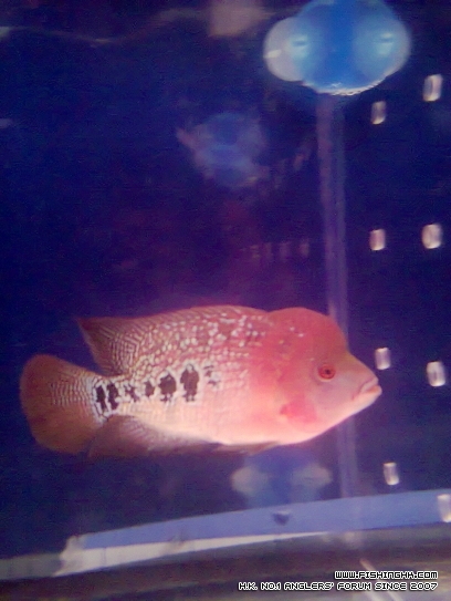 相片0119.jpg