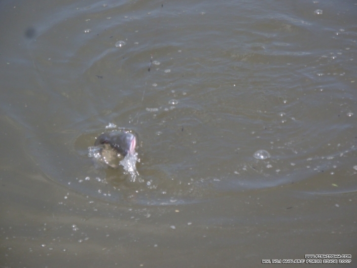 DSCF4951.JPG