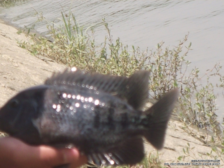 DSCF4960.JPG