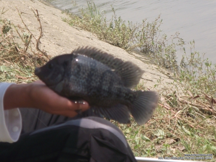 DSCF4961.JPG