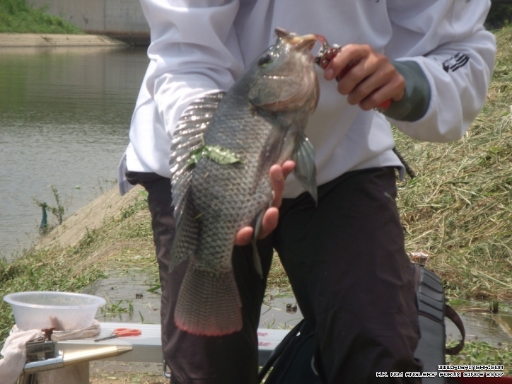 DSCF4963.JPG