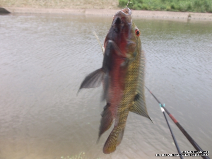 DSCF4967.JPG