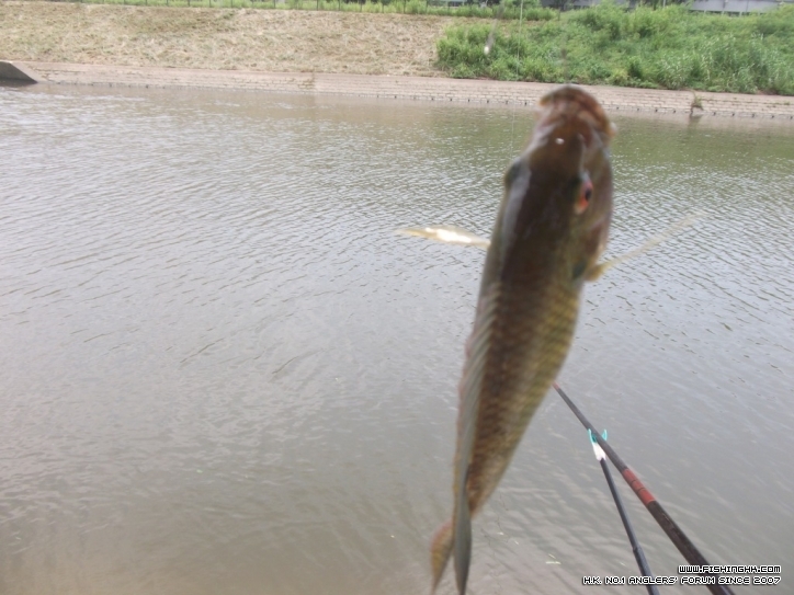 DSCF4969.JPG