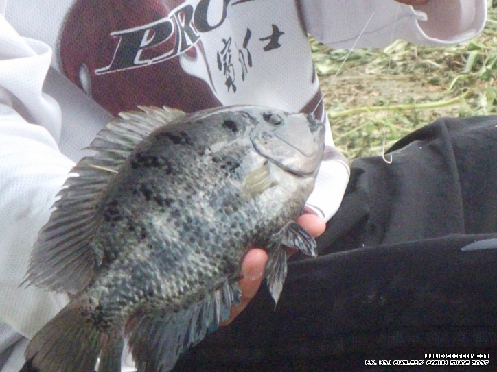 DSCF4973.JPG