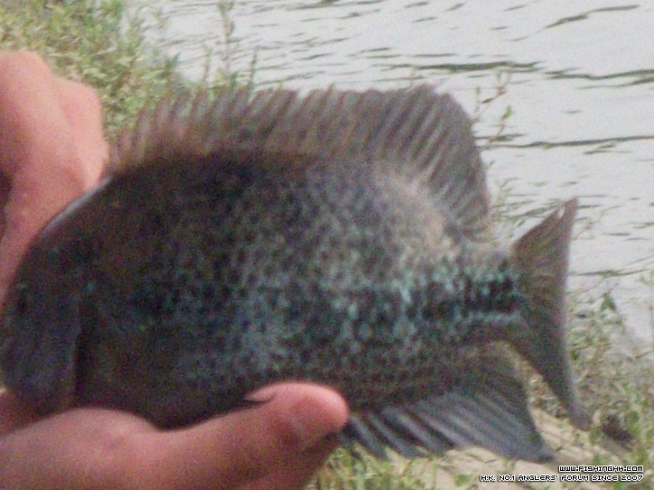 DSCF4975.JPG
