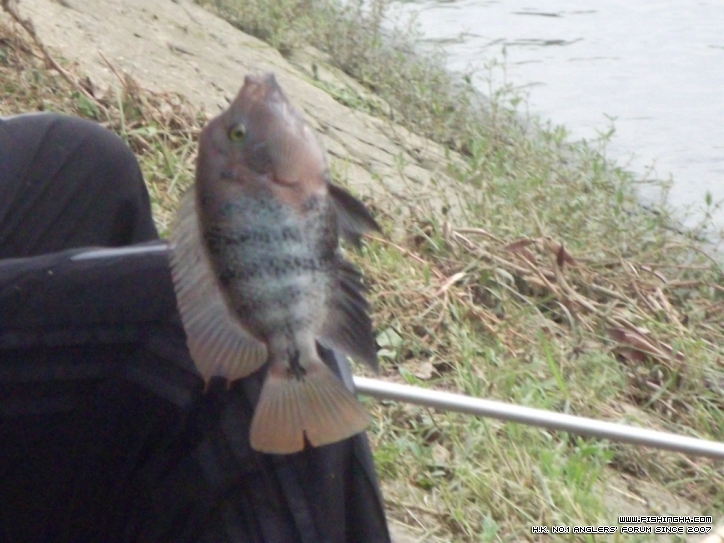 DSCF4977.JPG