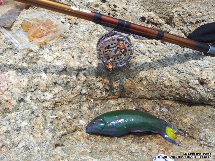 20120830_115758.jpg